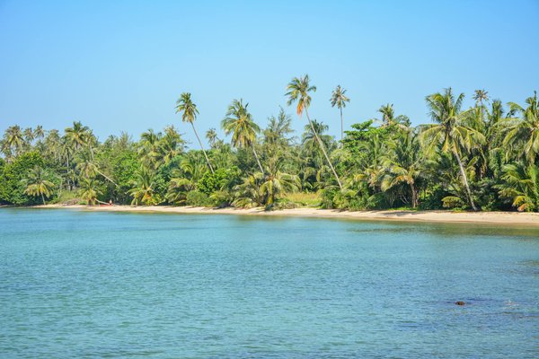 Discovering York"s Medieval Heritage: Your Ultimate Guide to Engaging Walking Tours